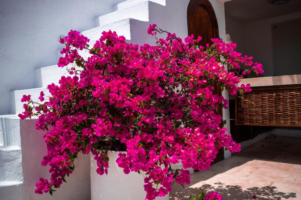 Hotel Aguamarina Boutique (Adults Only) Cartagena Exteriör bild